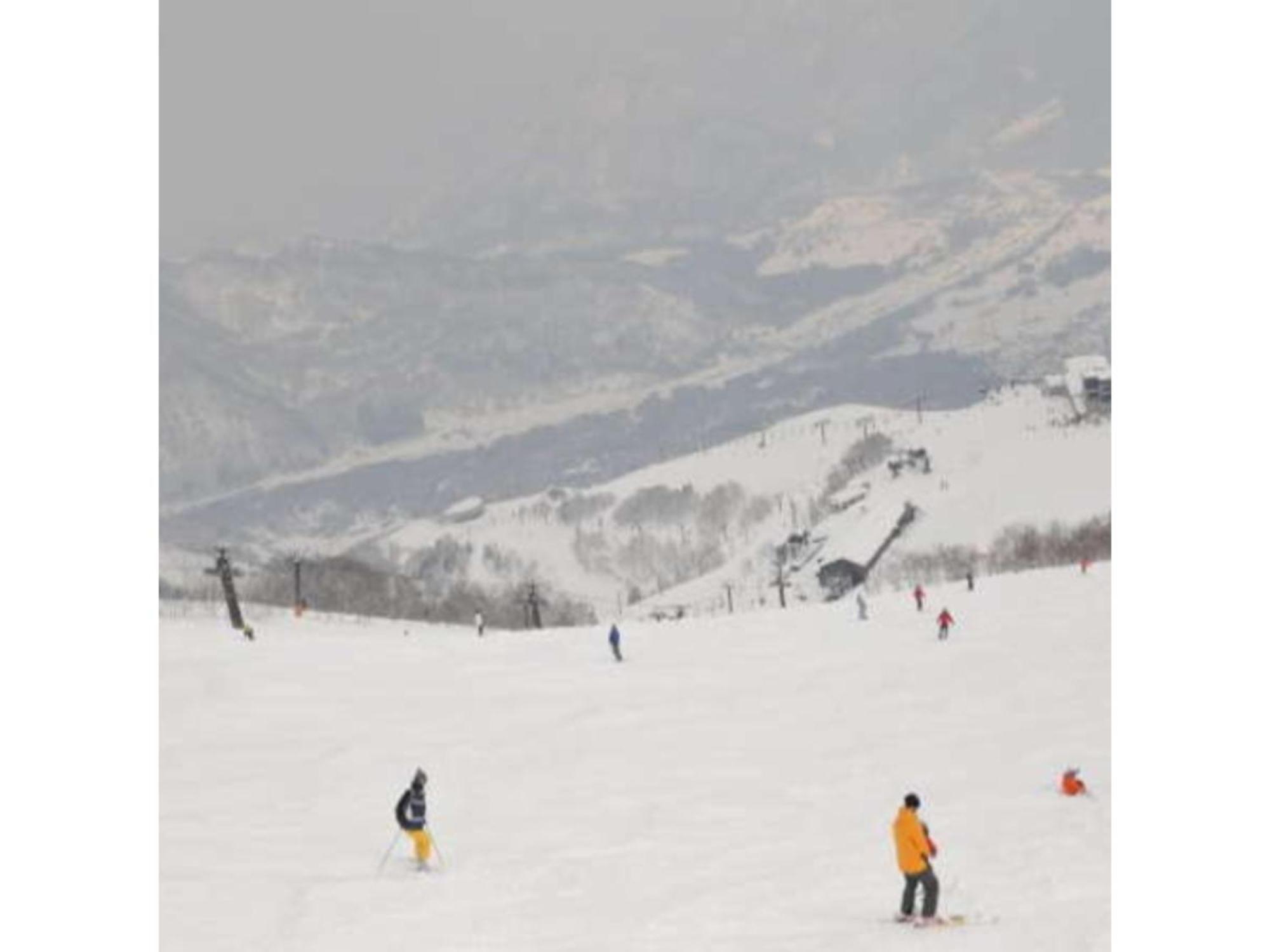Restaurant & Hotel Traumerei - Vacation Stay 47810V Хакуба-Мура Экстерьер фото
