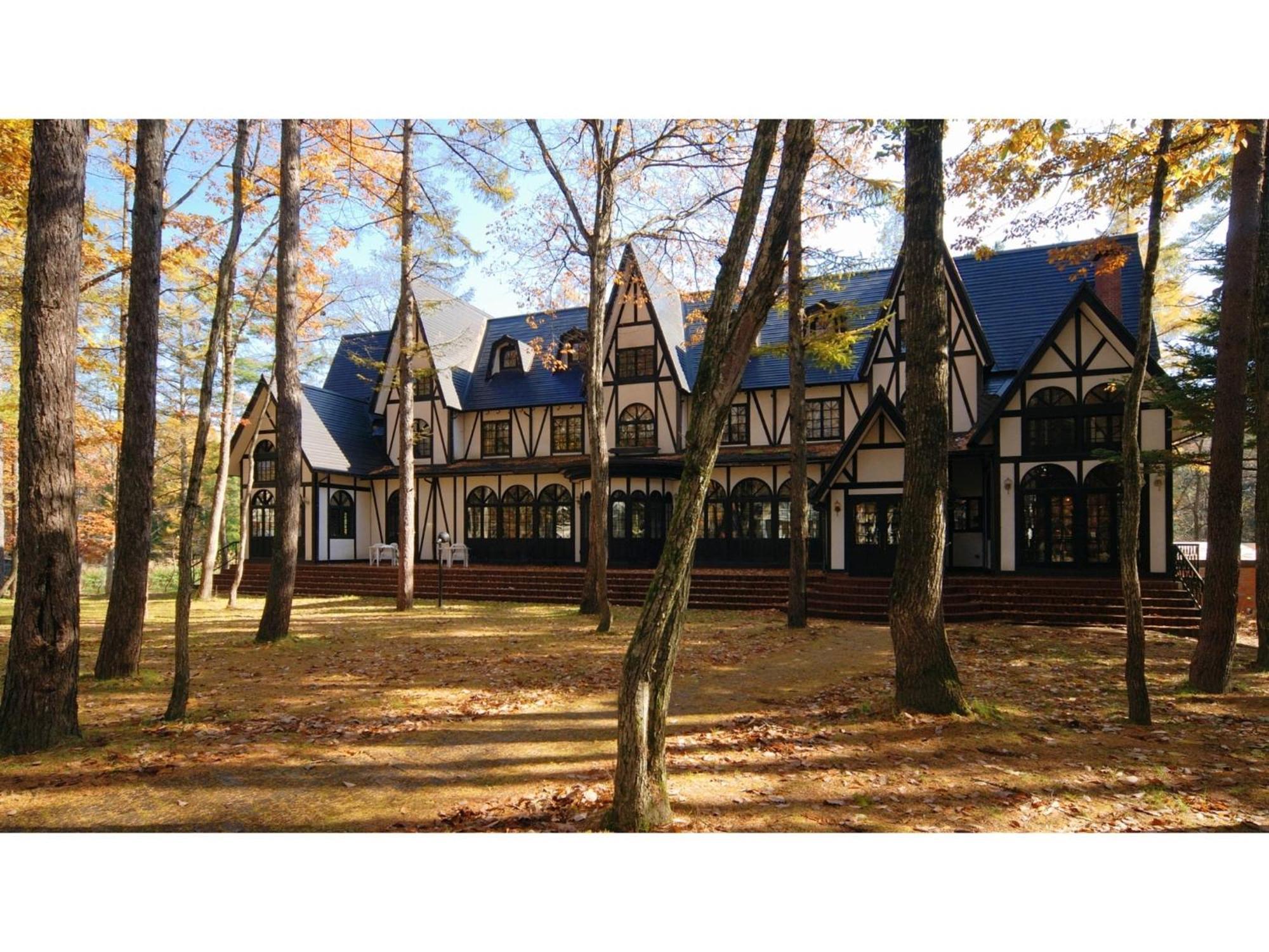 Restaurant & Hotel Traumerei - Vacation Stay 47810V Хакуба-Мура Экстерьер фото